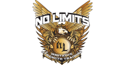 No Limits Innovative Logo